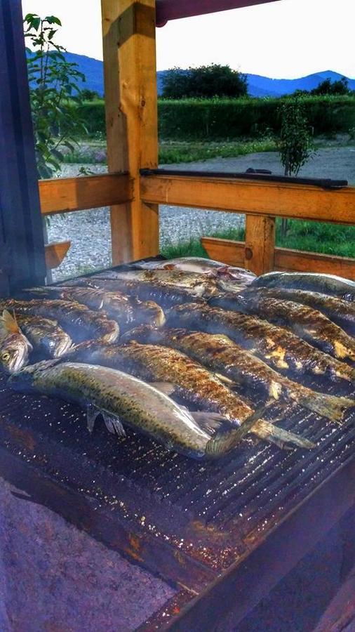 Pastravaria Ursu Vînători-Neamţ Esterno foto