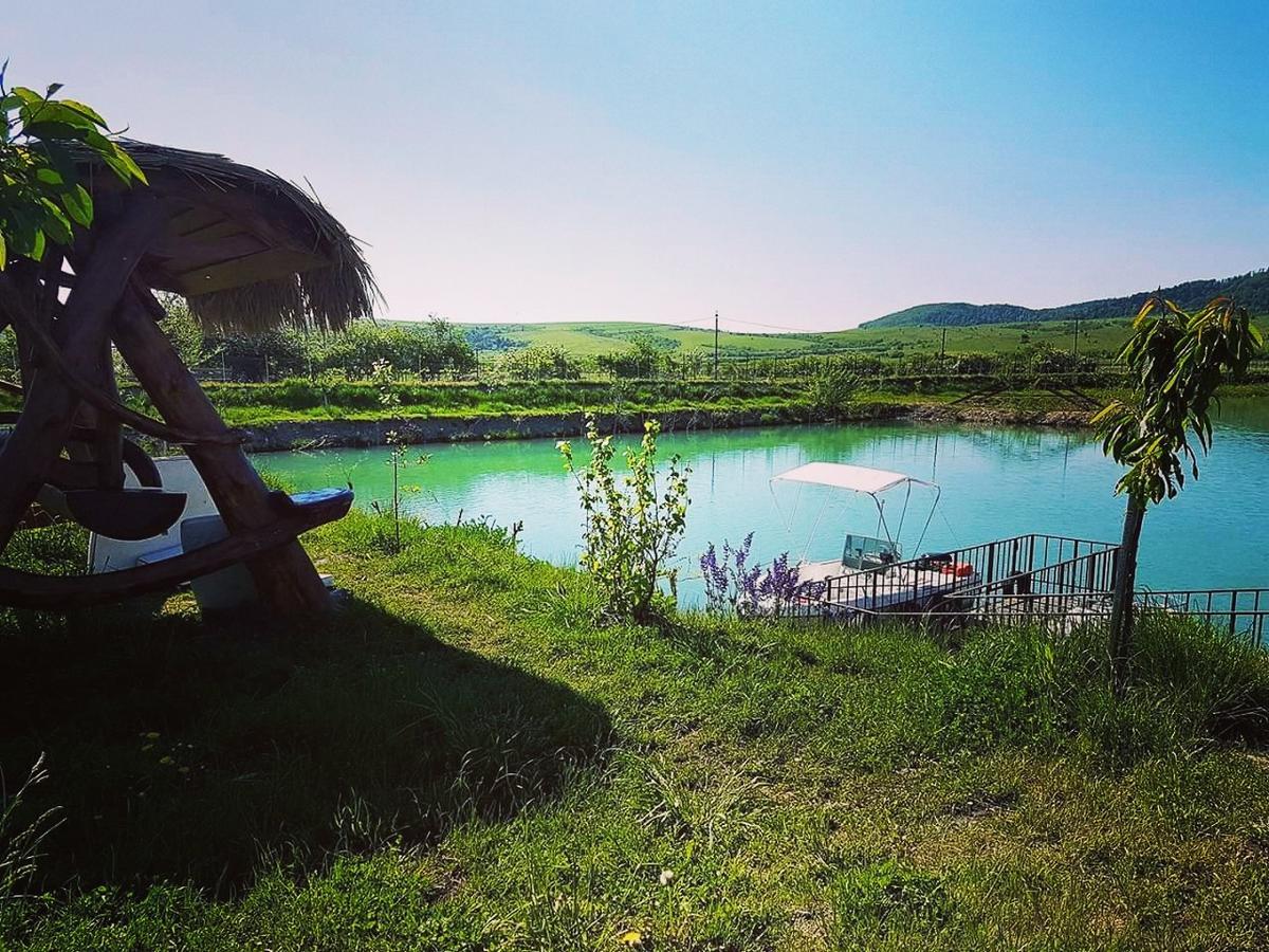 Pastravaria Ursu Vînători-Neamţ Esterno foto