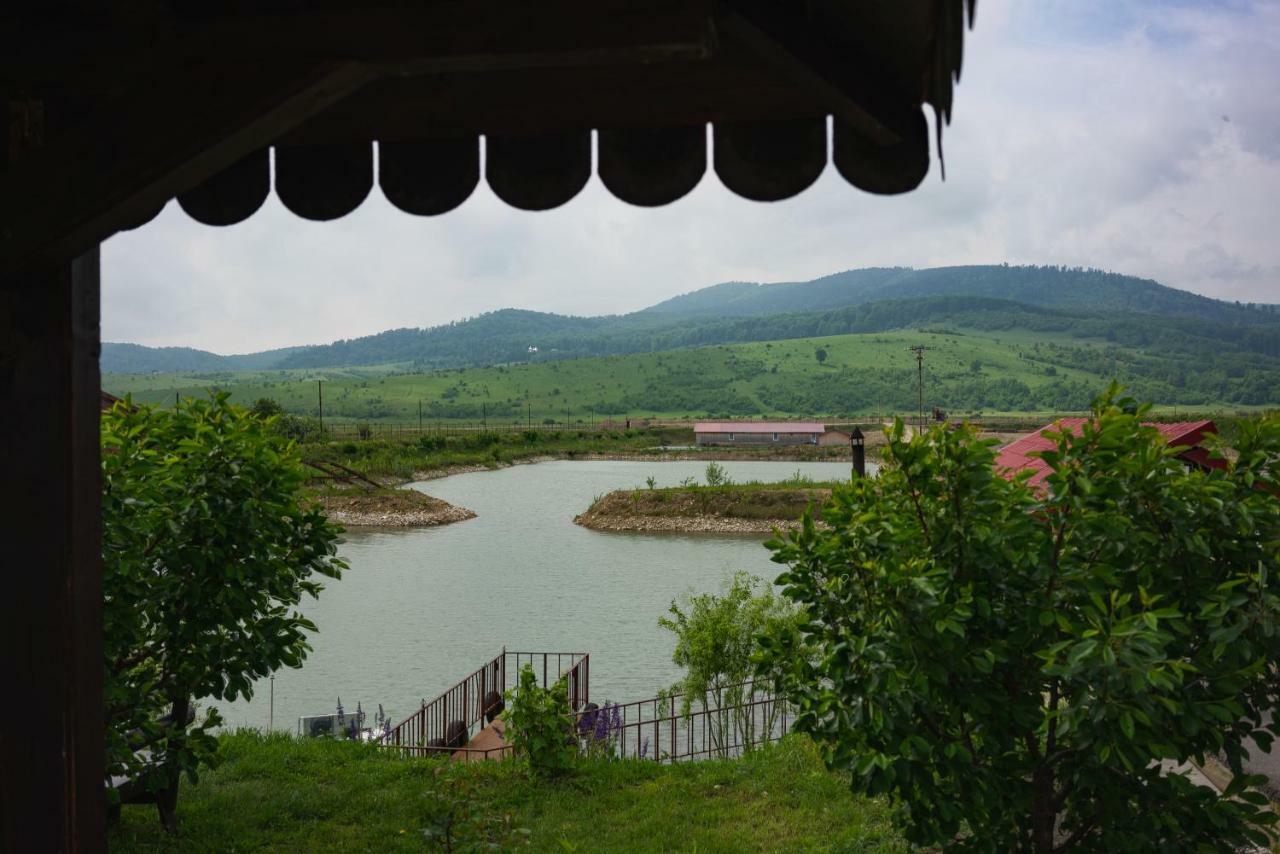 Pastravaria Ursu Vînători-Neamţ Esterno foto